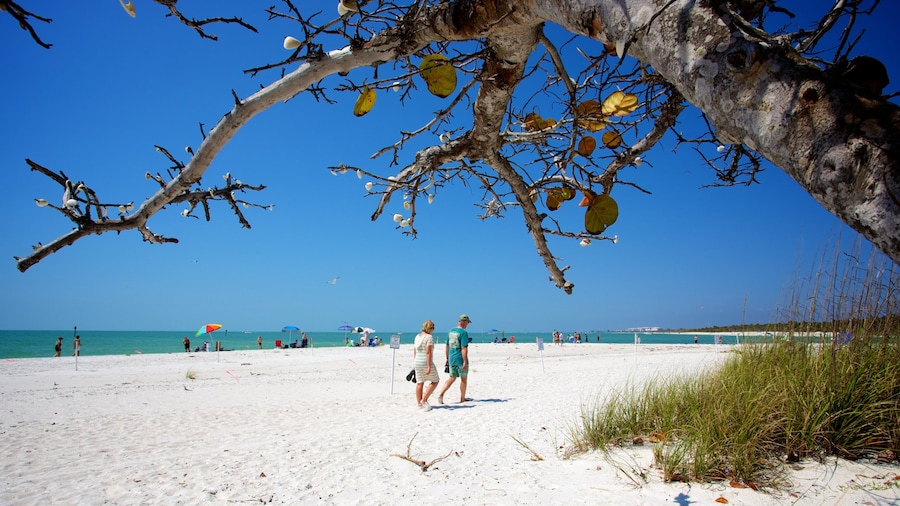 Naples Vacation Rentals