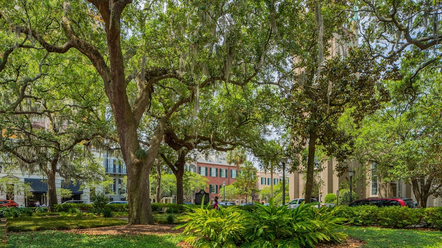 Savannah Vacation Rentals