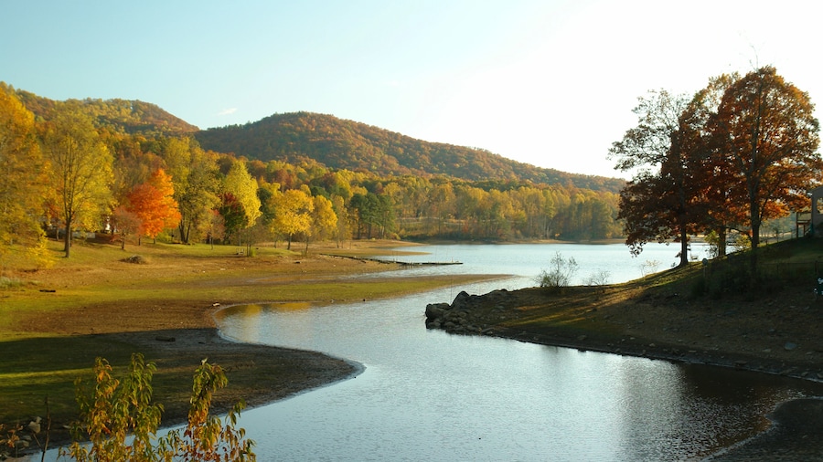 Georgia Vacation Rentals