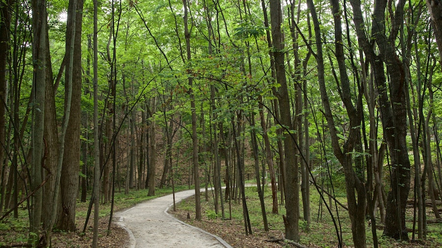 Michigan Vacation Rentals