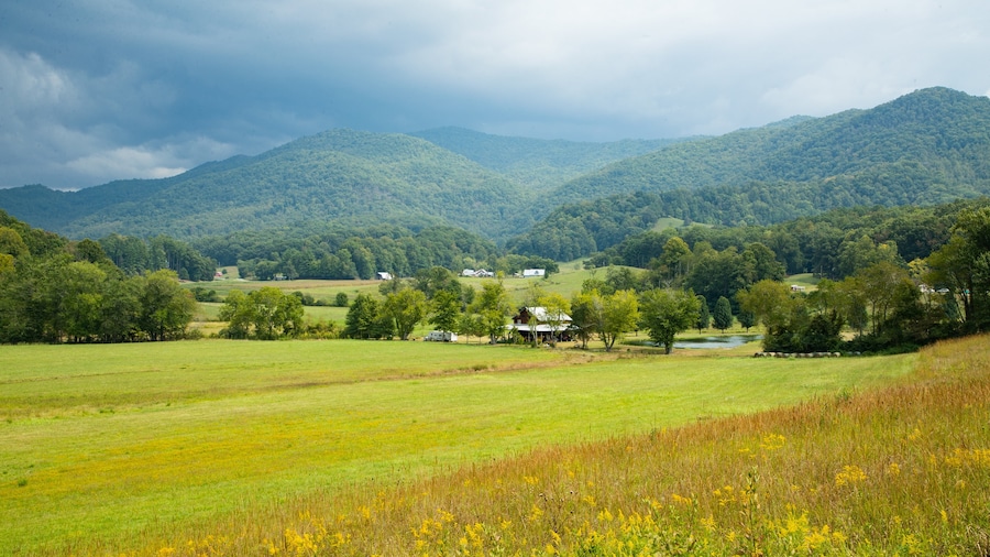 North Carolina Vacation Rentals