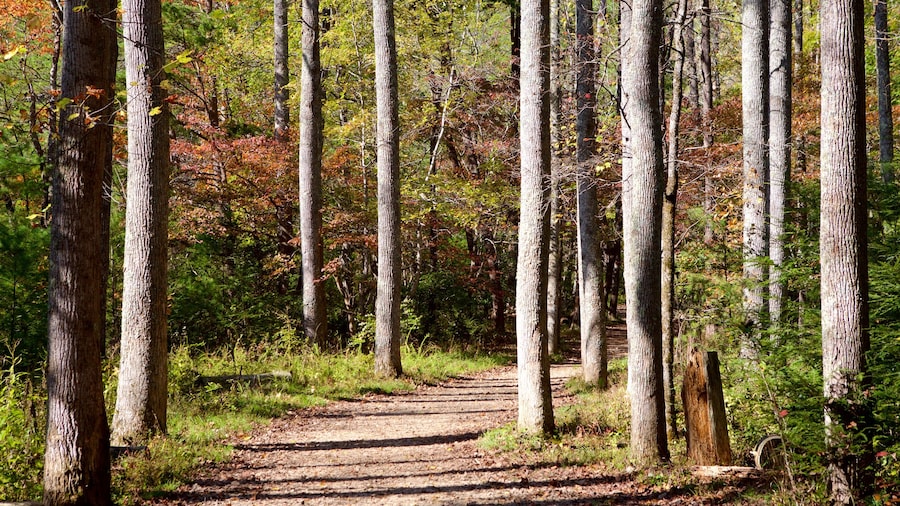 Tennessee Vacation Rentals