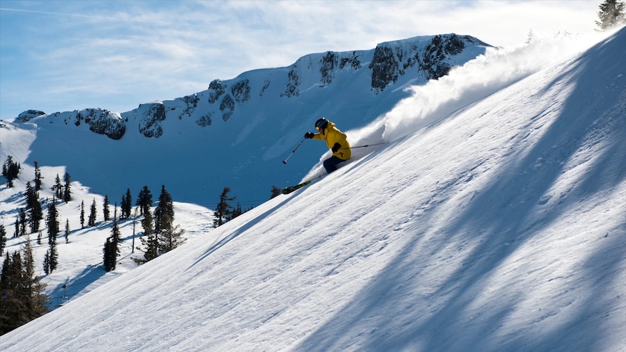 Olympic Valley Vacation Rentals