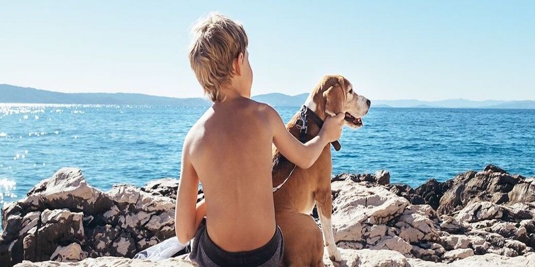 pet friendly holidays