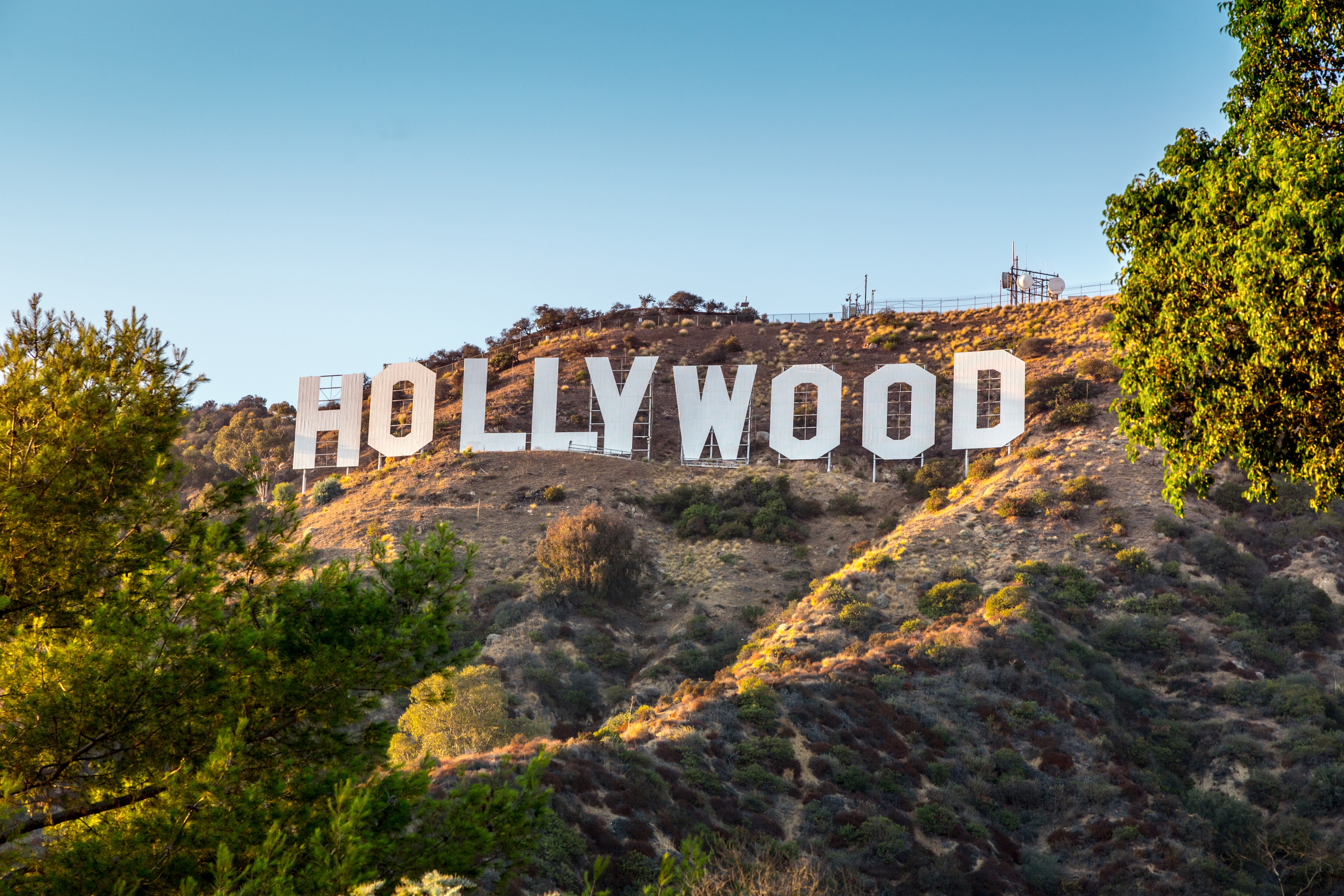 Hollywood Attractions