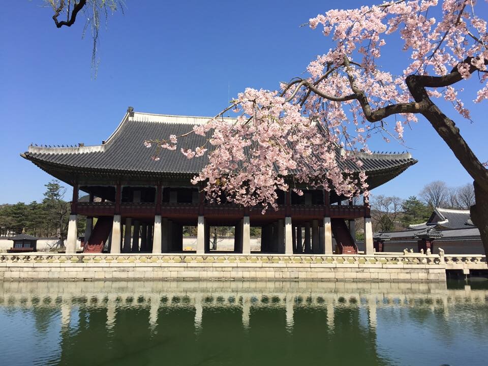 韓国旅行を検索する