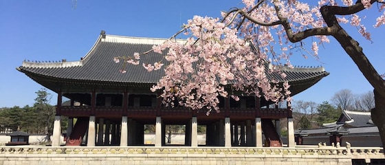 韓国旅行を検索する