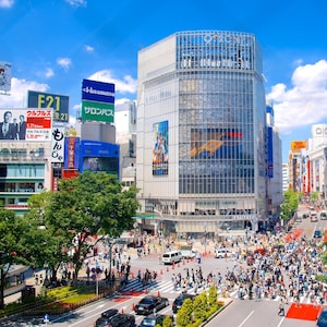 東京のオプショナルツアー