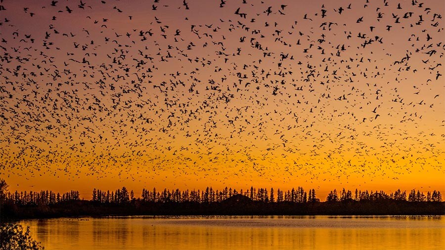 Hotels with outdoor pools in Winnipeg