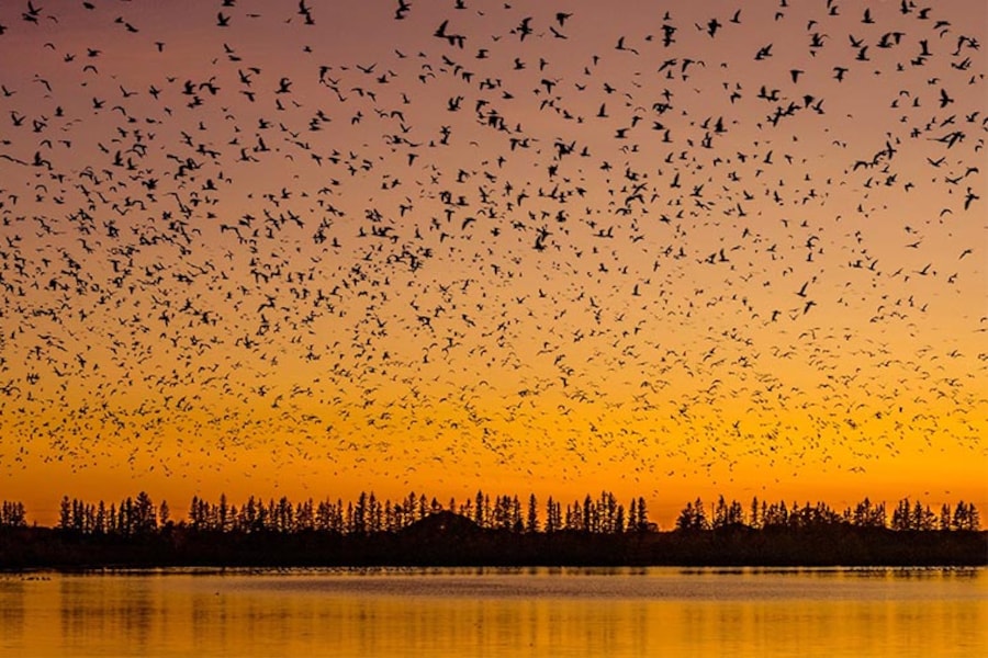 Hotels with outdoor pools in Winnipeg