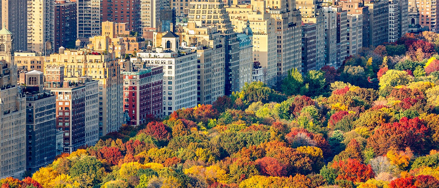 holiday season in new york