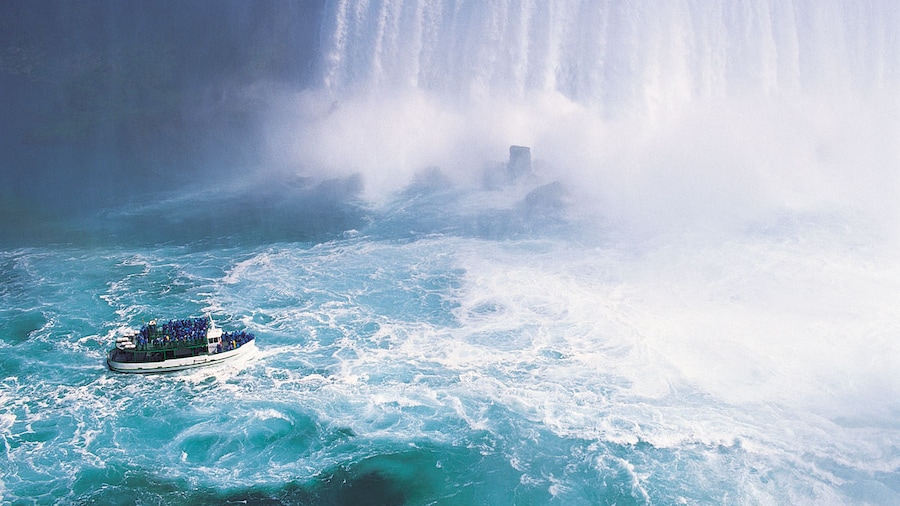 Car Rentals in Ontario