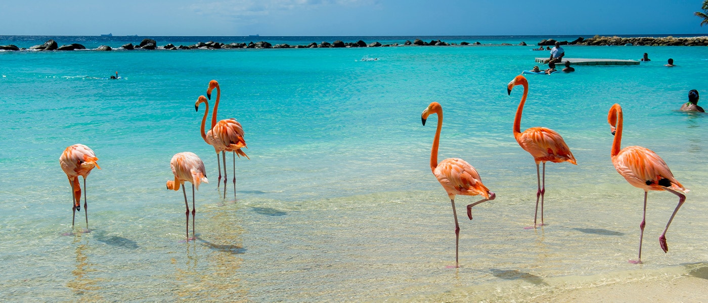 Thrifty Car Rental Expedia