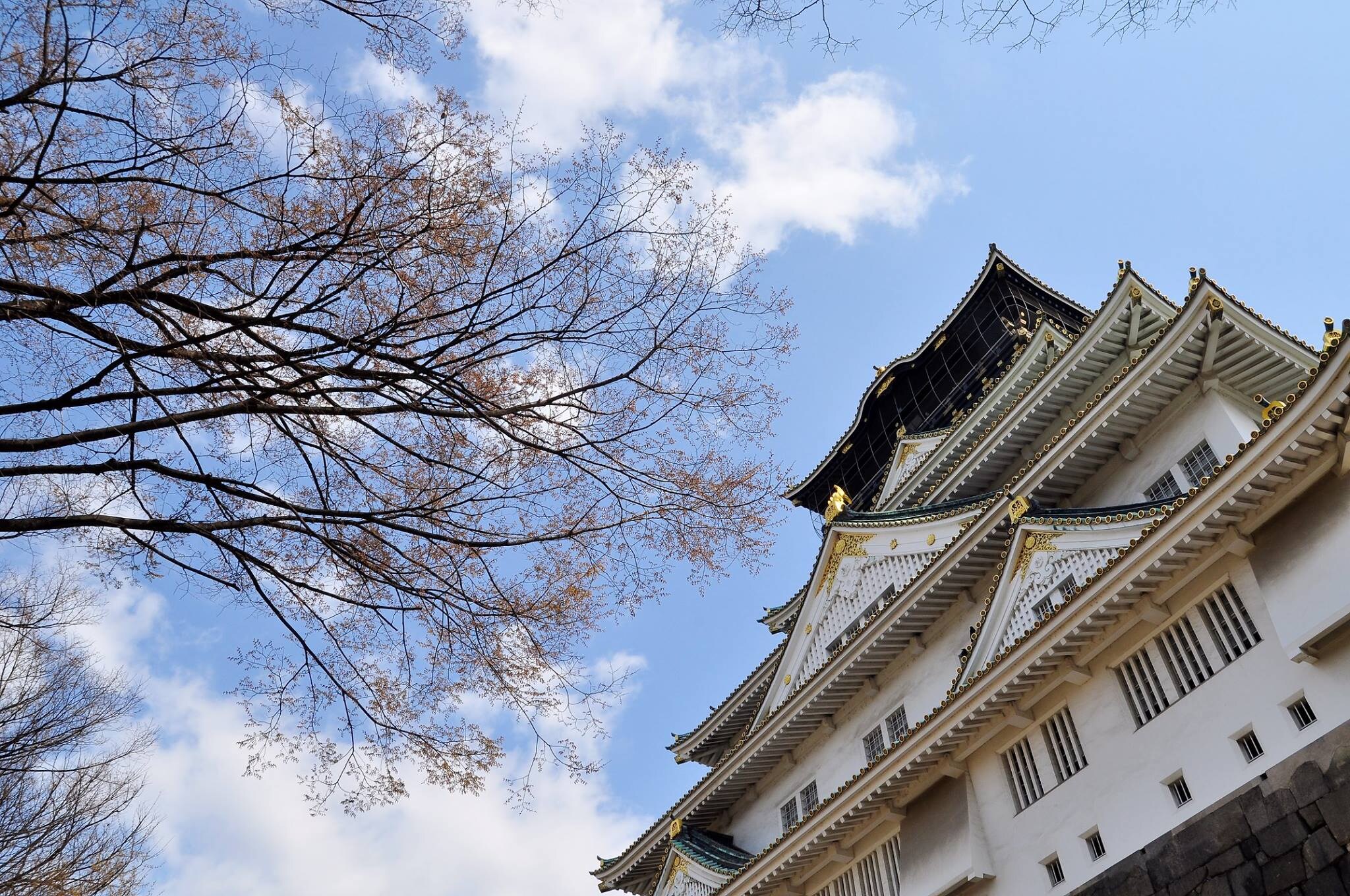 大阪への航空券