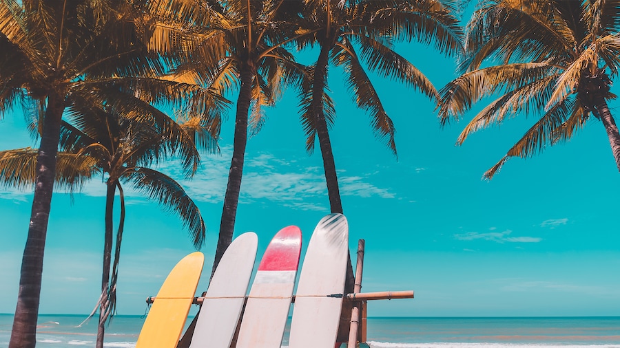 surfboards standing up on a beach in hawaii