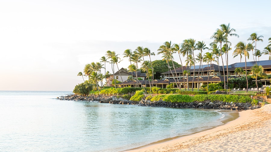 Long Haul Maui Holidays