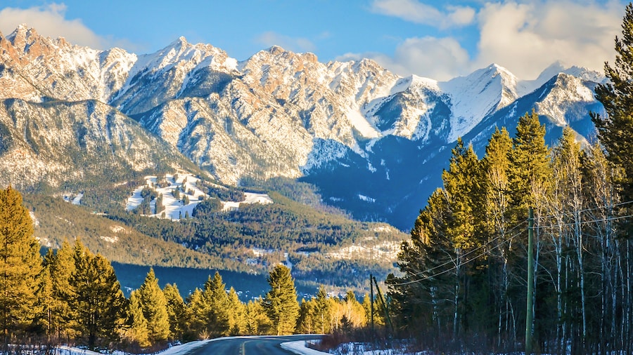 Find Cabins with a Hot Tub on Travelocity
