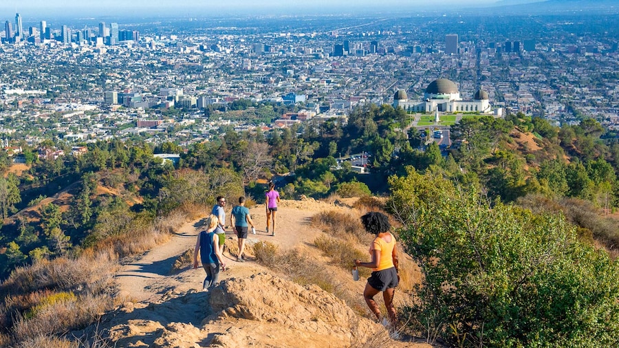 Viewpoints in Los Angeles