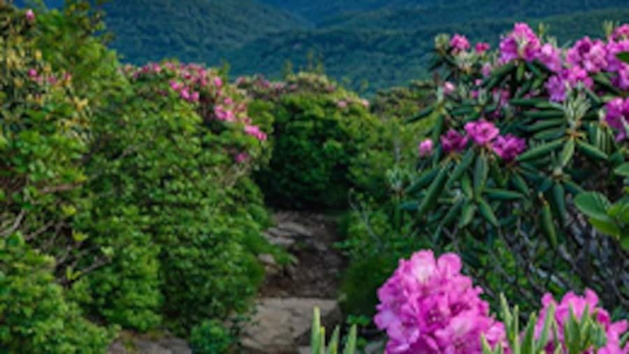 Most Picturesque Villages in Tennessee