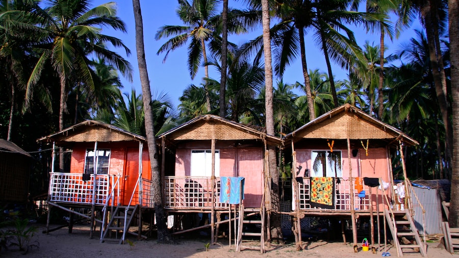 beach huts on stilts next to palm trees in Goa
