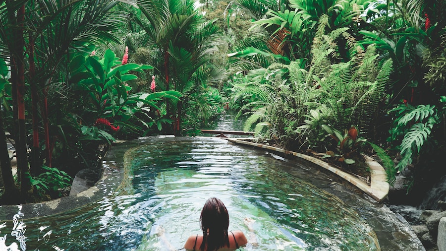 woman swimming in a pool surrounded by the rainforest in costa rica