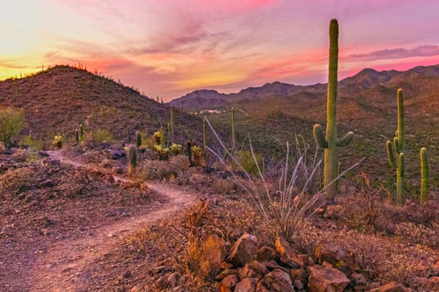 Top resorts in Tucson AZ