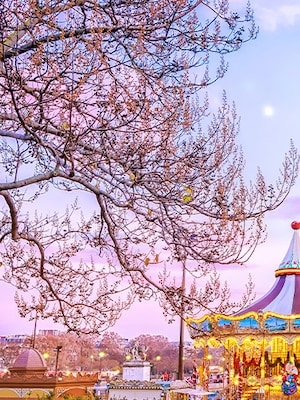 Romantic getaways in Paris