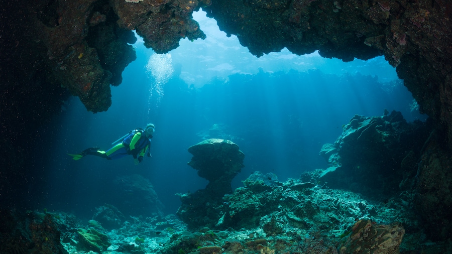 "Fiji Holiday