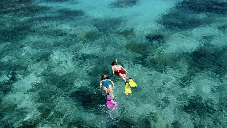 "Fiji Holiday