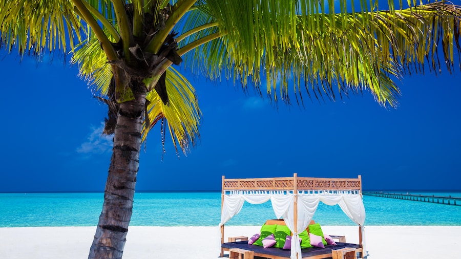 "Fiji Holiday