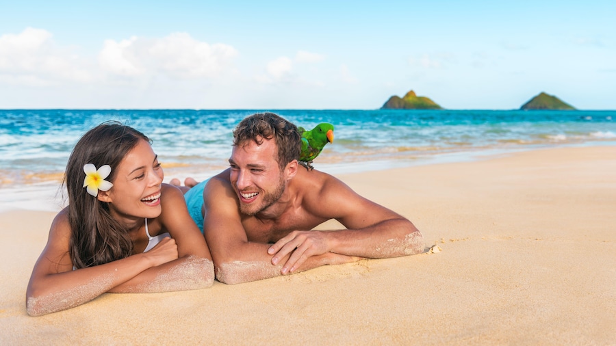 "Hawaii Holiday