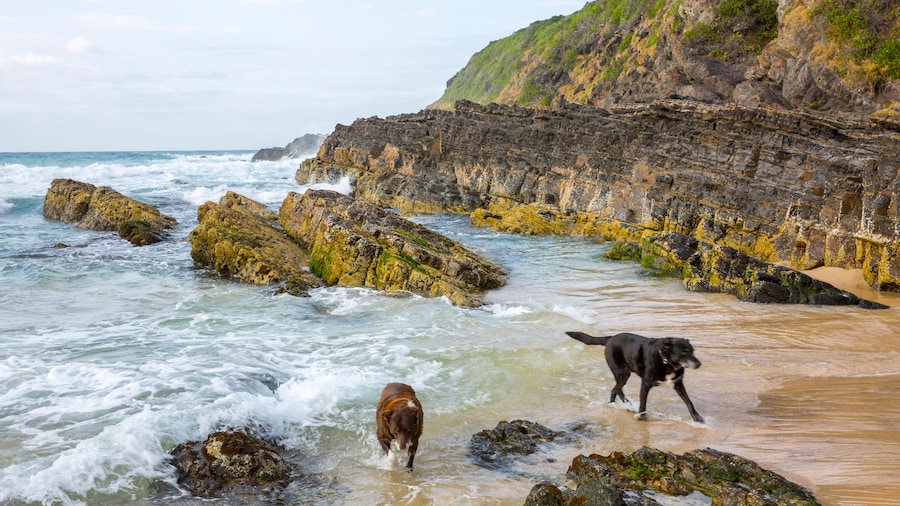 "New South Wales Holiday
