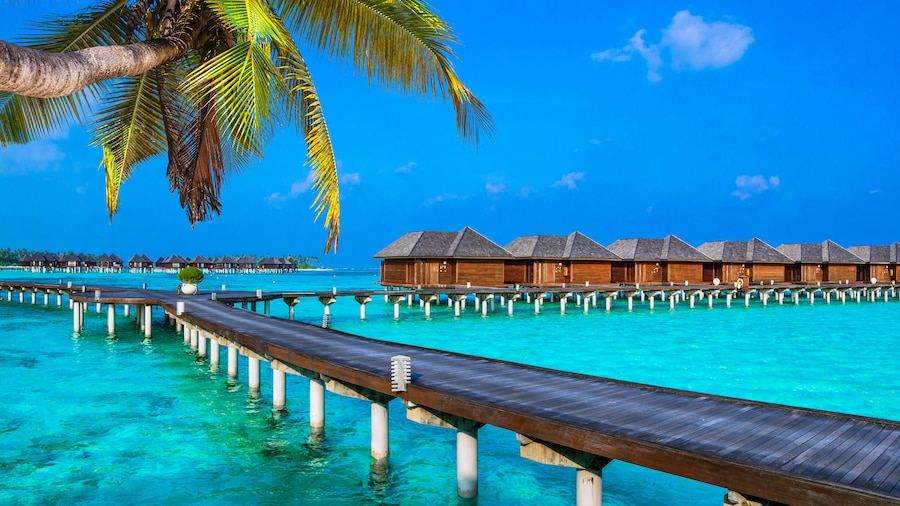 "Maldives Holiday