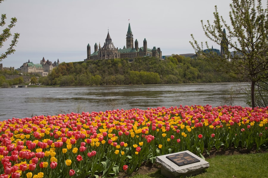 Top Hotels in Ottawa