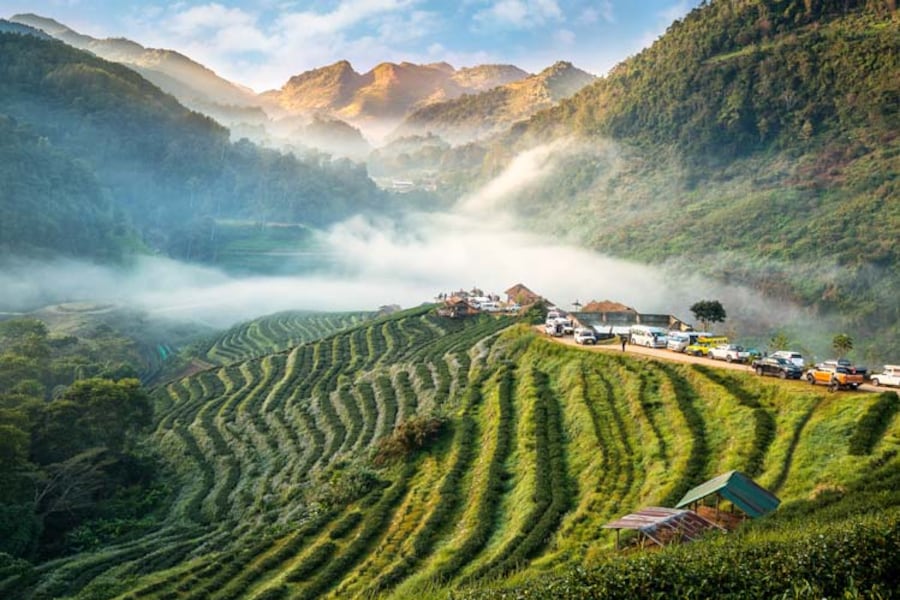 Hostels in Chiang Mai