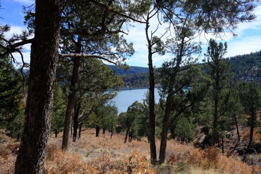 Cabin Rentals in Ruidoso