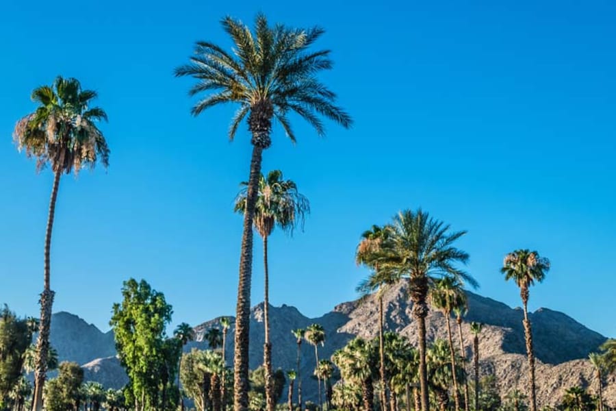 Family Friendly Hotels in Palm Springs