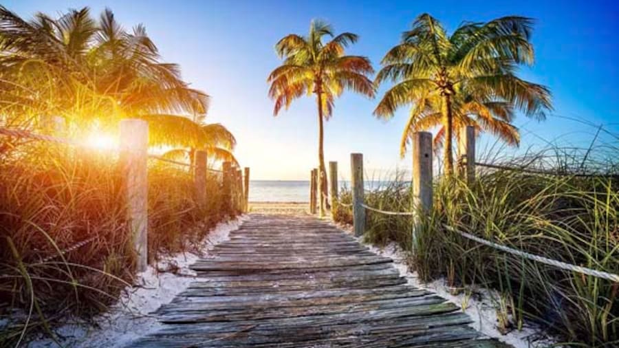 Labor Day Hotels Florida
