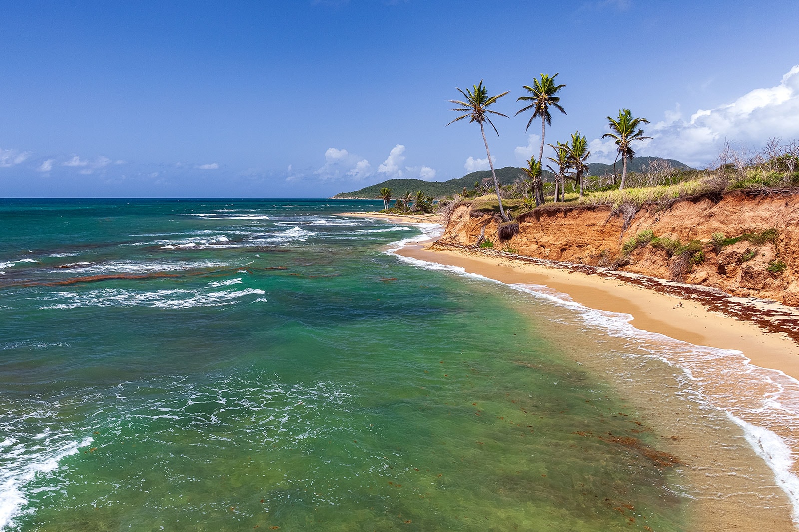 “Vieques”