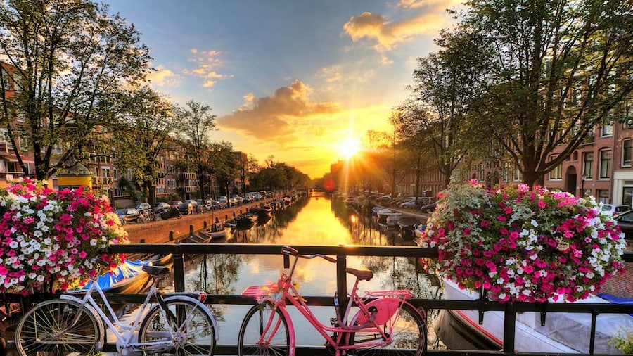Hilton Amsterdam