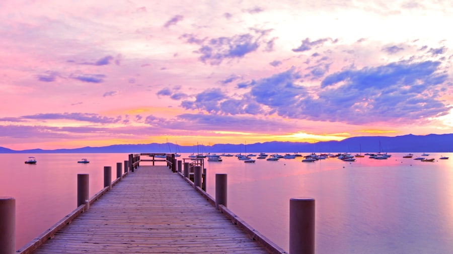 Find Apartments with Lake Views on Travelocity