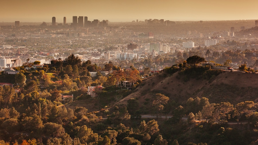 Los Angeles Urlaub Januar