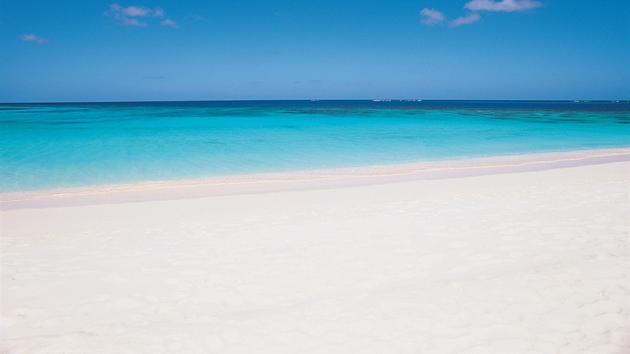 Turks and Caicos Parrot Cay