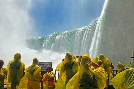 activities in Montreal