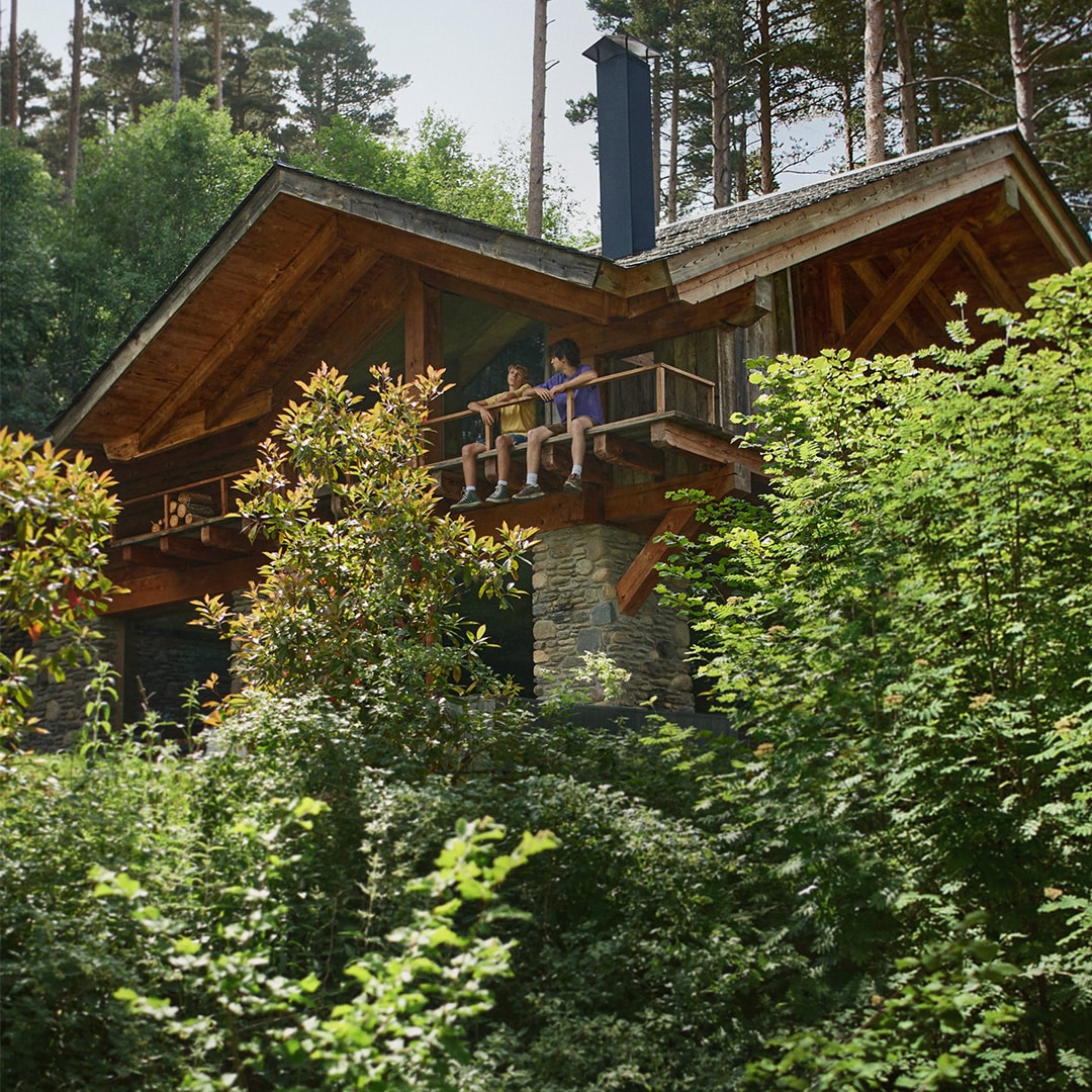 Imagen de casa en un árbol
