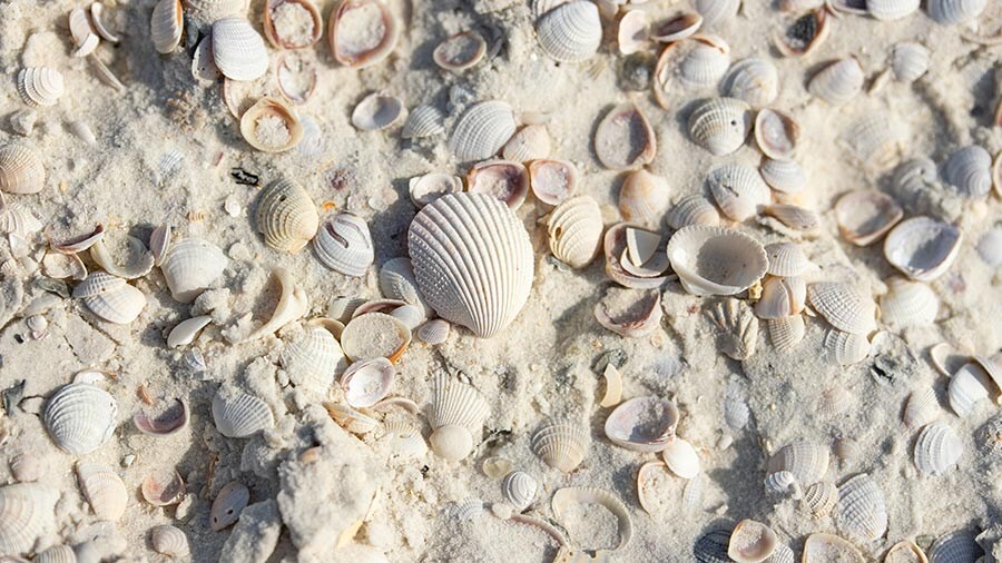 Florida's Panhandle