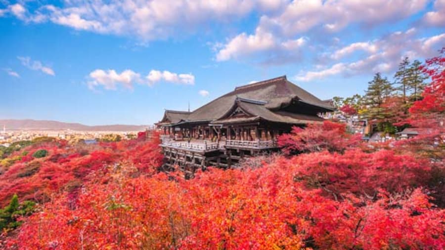 Japan in Autumn