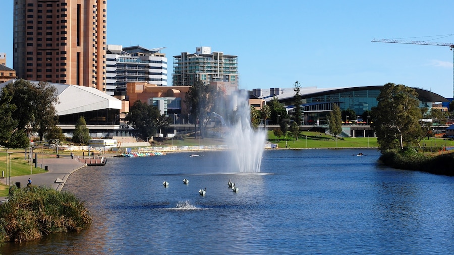 Embark on an Adelaide adventure