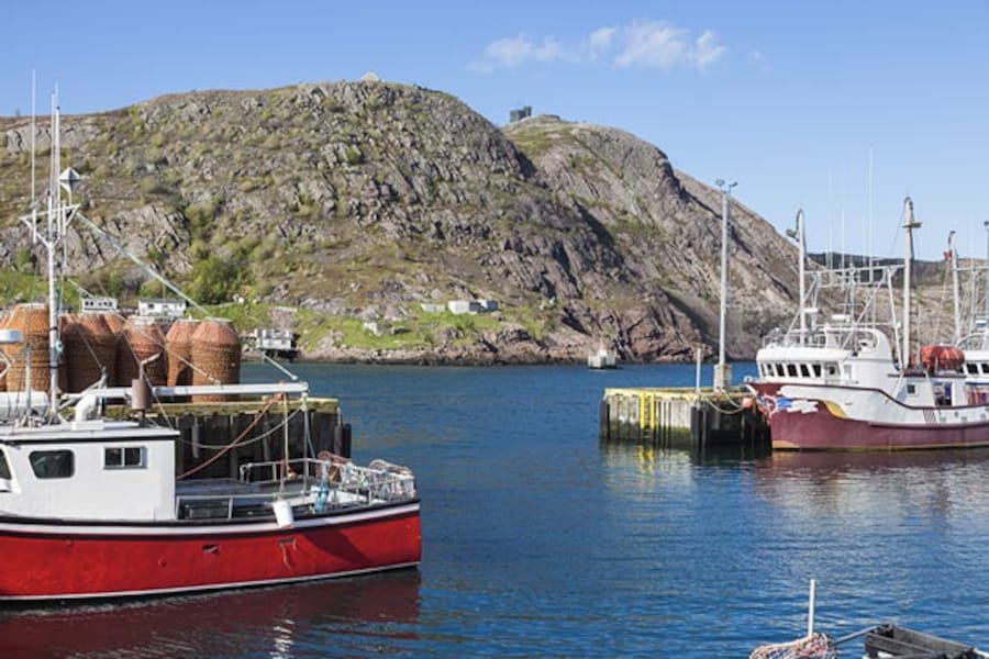 Bed & Breakfasts in George Street