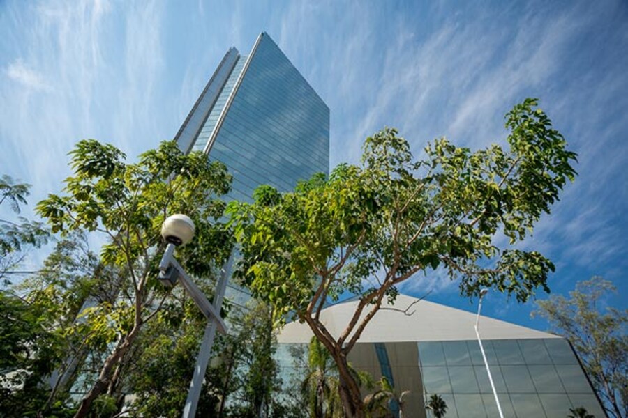 Cabin rentals in Guadalajara